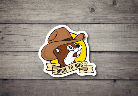 Born to Buc - Sticker