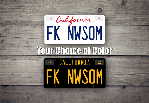 FK NWSOM - Sticker